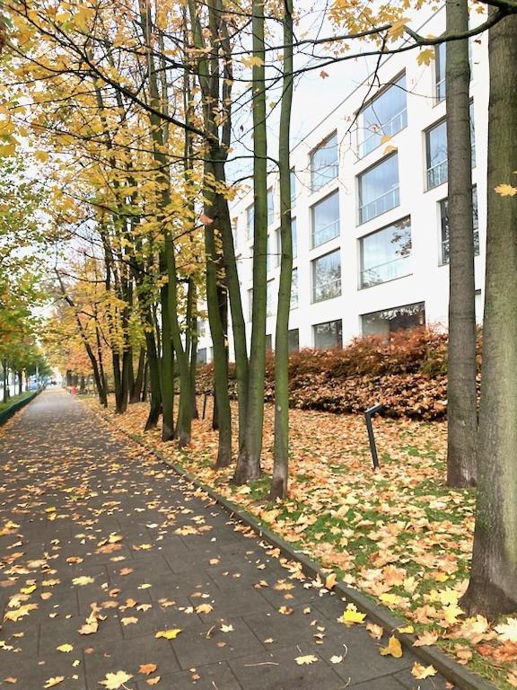 Apartment Novum Rakowicka Street Krakow Luaran gambar